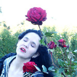 A Vampire's Day at the Beach