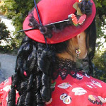 tryst-back-hat-cls
