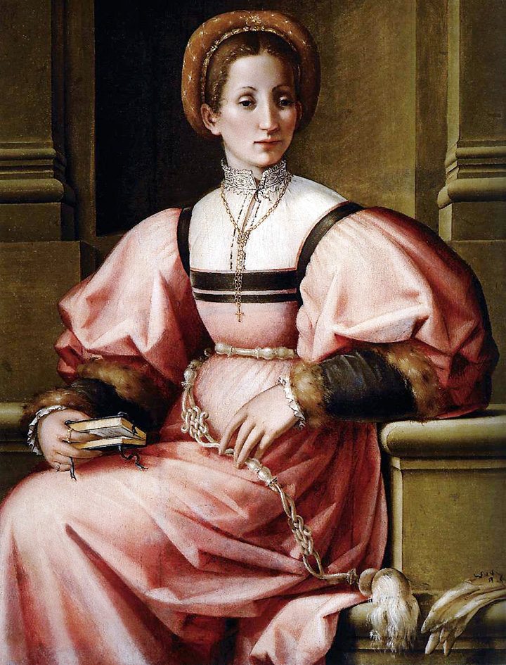 Portrait of a lady by Pierfrancesco di Jacopo Foschi, 1535 (image source: Web Gallery of Art) Portrait of a lady by Pierfrancesco di Jacopo Foschi, 1535 (image source: Web Gallery of Art)